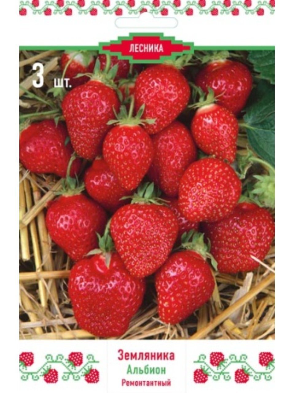 Саженцы Земляника садовая, Альбион, 3 шт, 678351