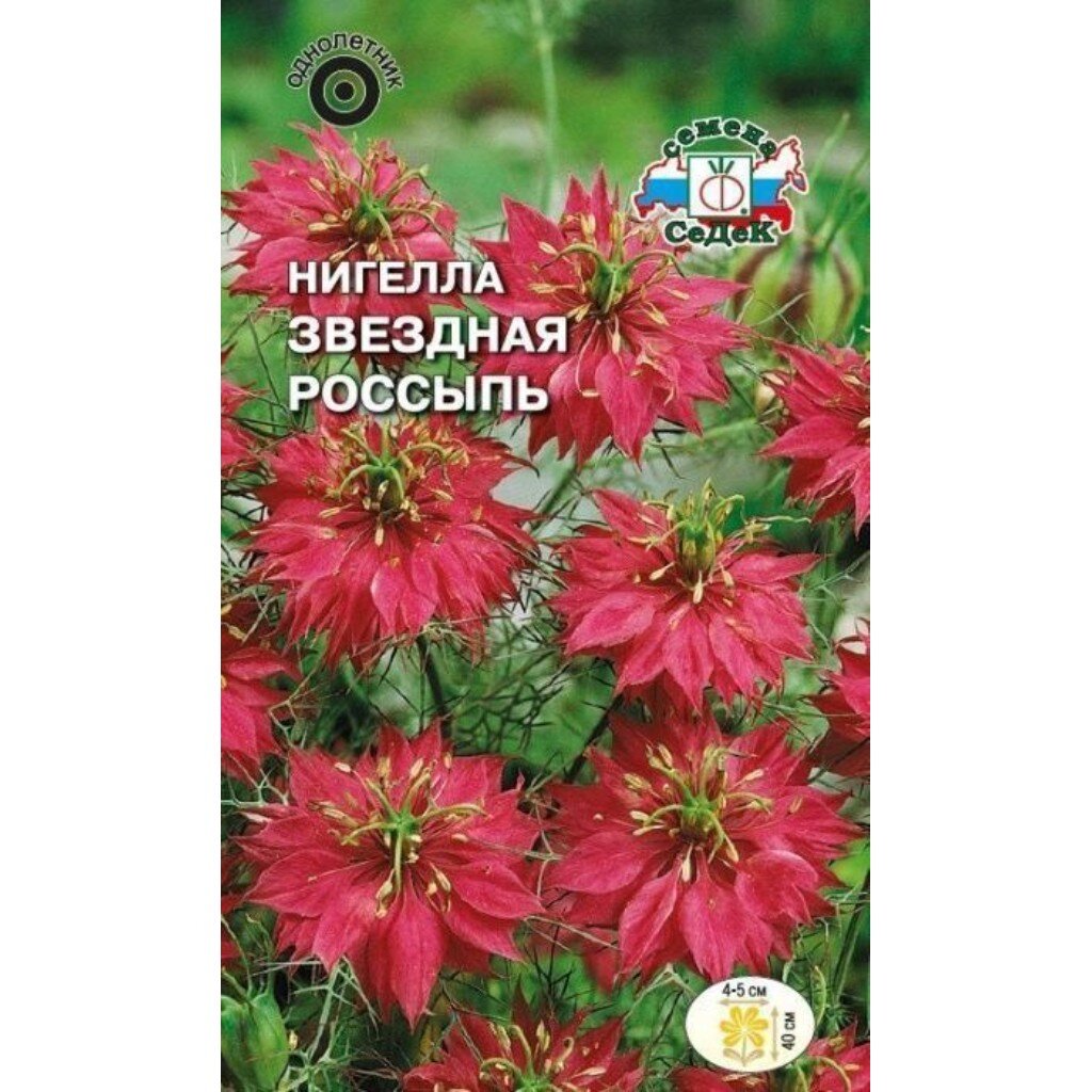 Семена Цветы, Нигелла, Звездная россыпь, цветная упаковка, Седек