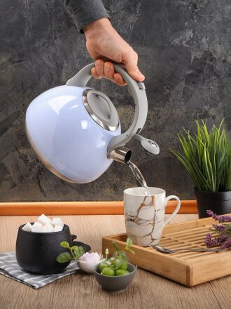 Чайник нержавеющая сталь, 2.7 л, со свистком, зеркальный, ручка бакелитовая, с силиконовым покрытием, Daniks, индукция, голубой, M-083B