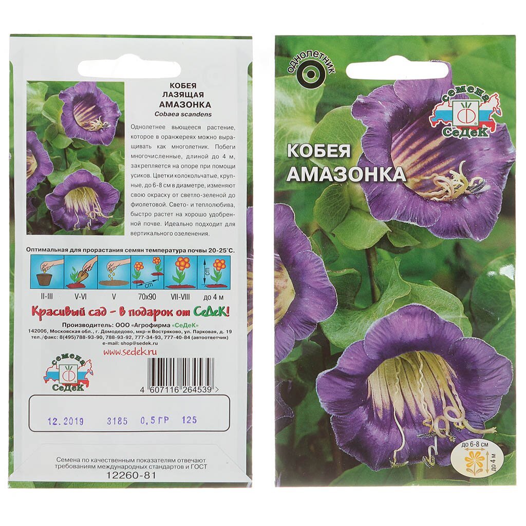 Семена Цв Кобея Амазонка ЦВ
