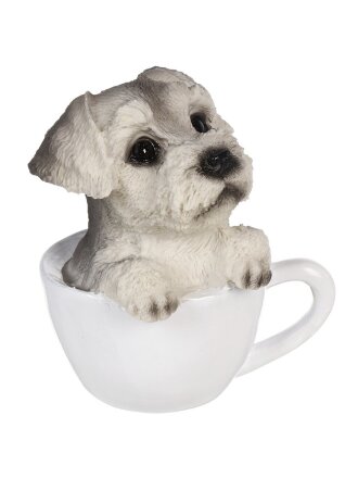 Щенок в чашке