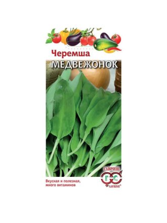 Медвежонок