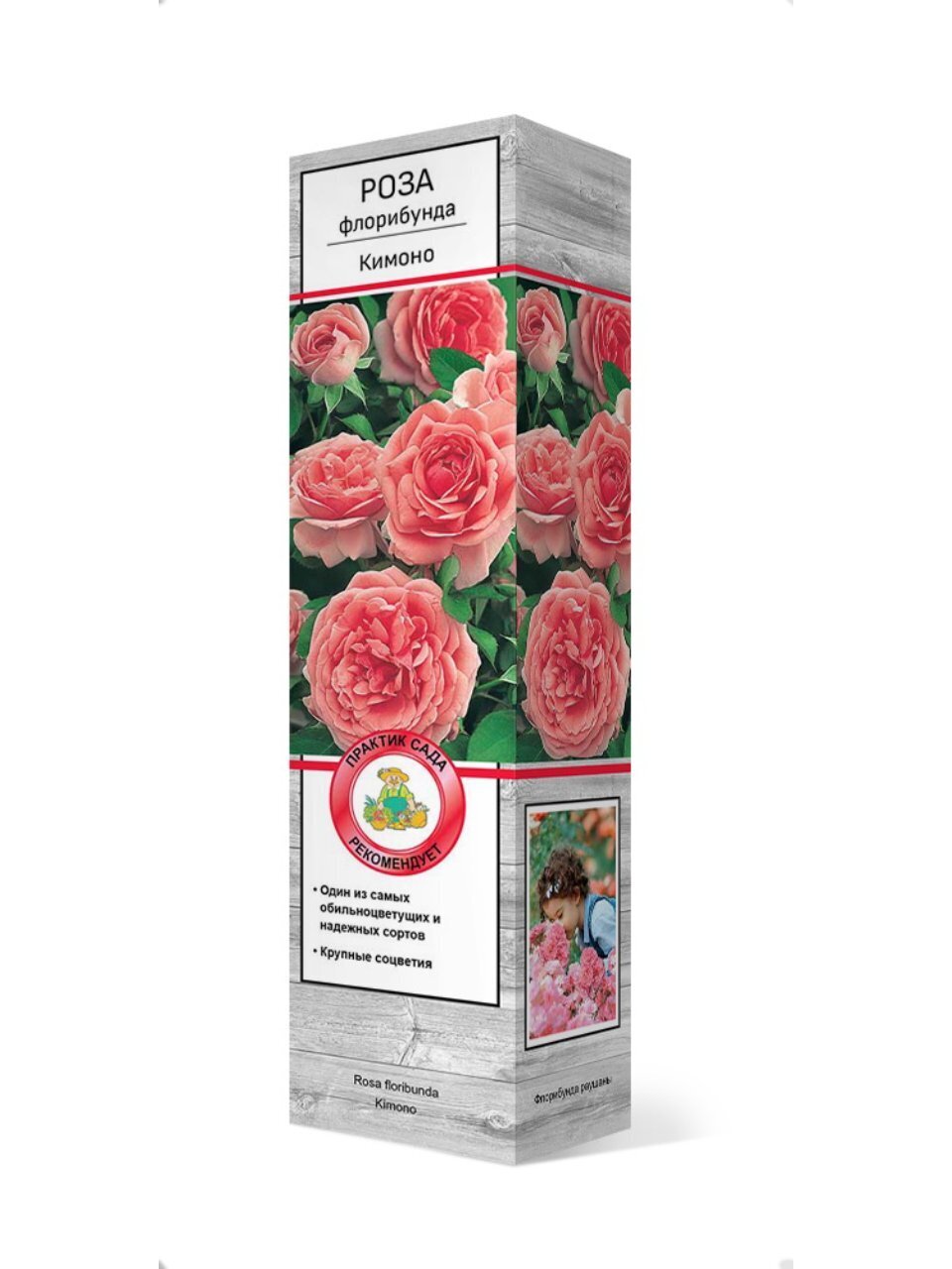 Саженцы Роза флорибунда, Кимоно