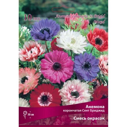Корневище Анемона корончатая, Сент Бриджид, смесь окрасок, 10 шт
