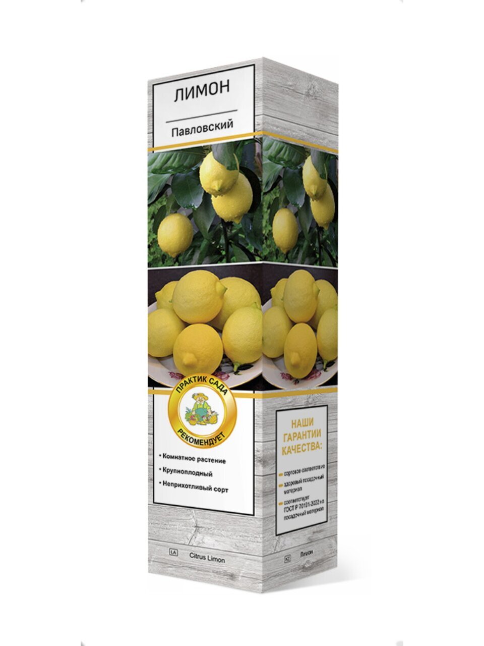 Саженцы Цитрус, Павловский, комнатное растение, 846935