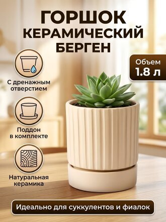 мусс