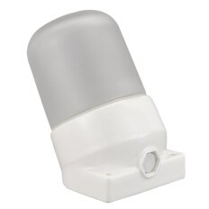 Светильник для бани, General Lighting Systems, GCF-SNC-60-E27-IP65-W,437768, 60 Вт, E27, на 1 лампочку, IP65, НПБ400-1, наклонный, керамика, белый, 437768