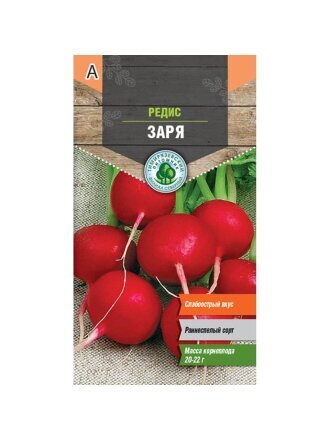 Заря