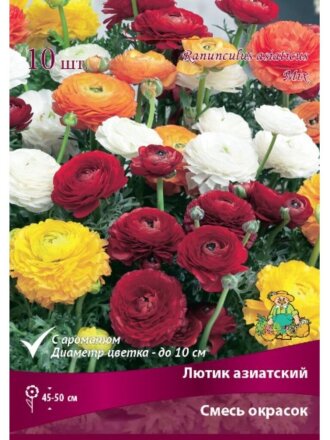 Луковицы Лютик азиатский, смесь окрасок, 10 шт