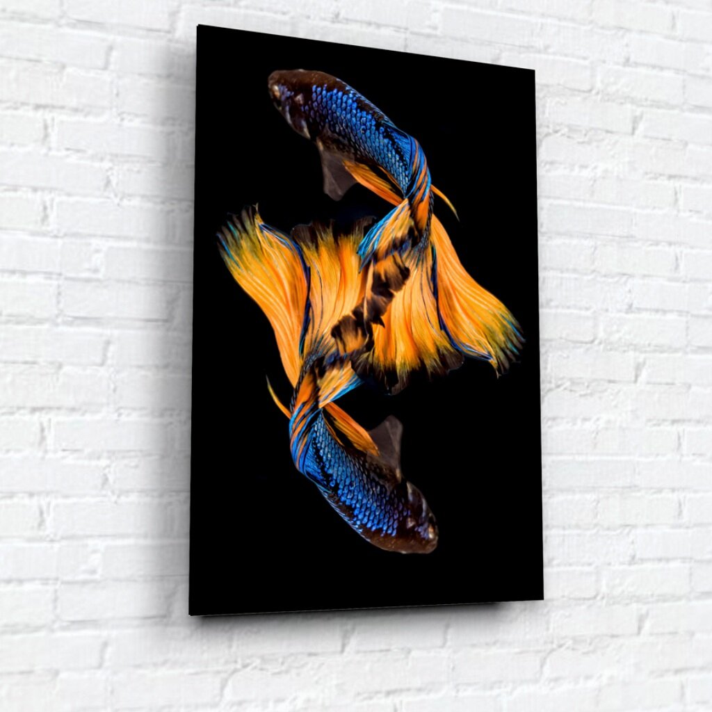Картина на стекле, 60х40 см, Бойцовская рыбка 2, WB-02-64-04 картина на стекле элегант пантера 40х40 см