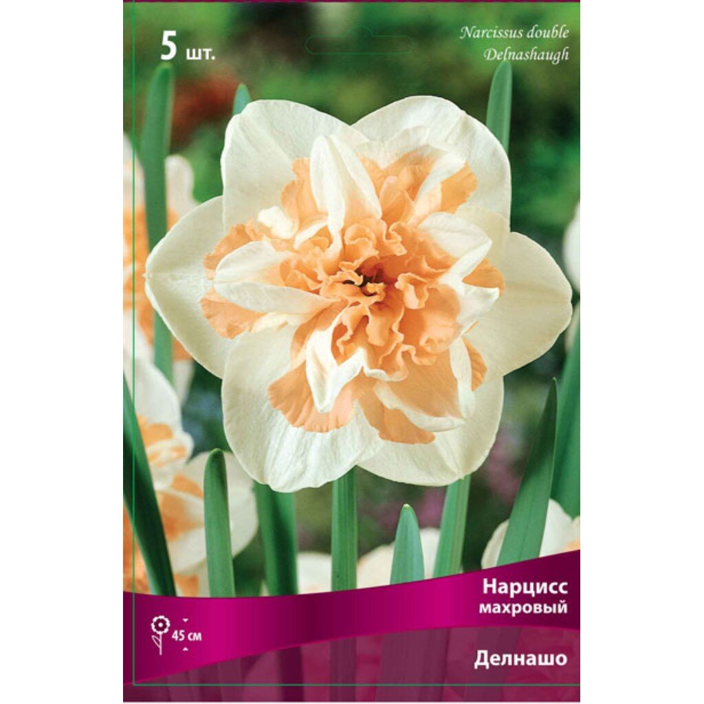 Луковицы Нарцисс махровый, Делнашо, 12-14/К, 5 шт