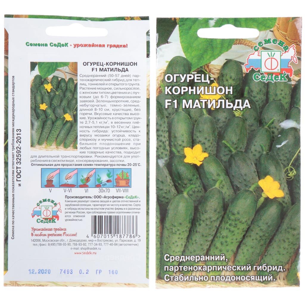 Семена Огурец, Матильда F1, цветная упаковка, Седек семена огурец отело f1 пч ц п 10шт