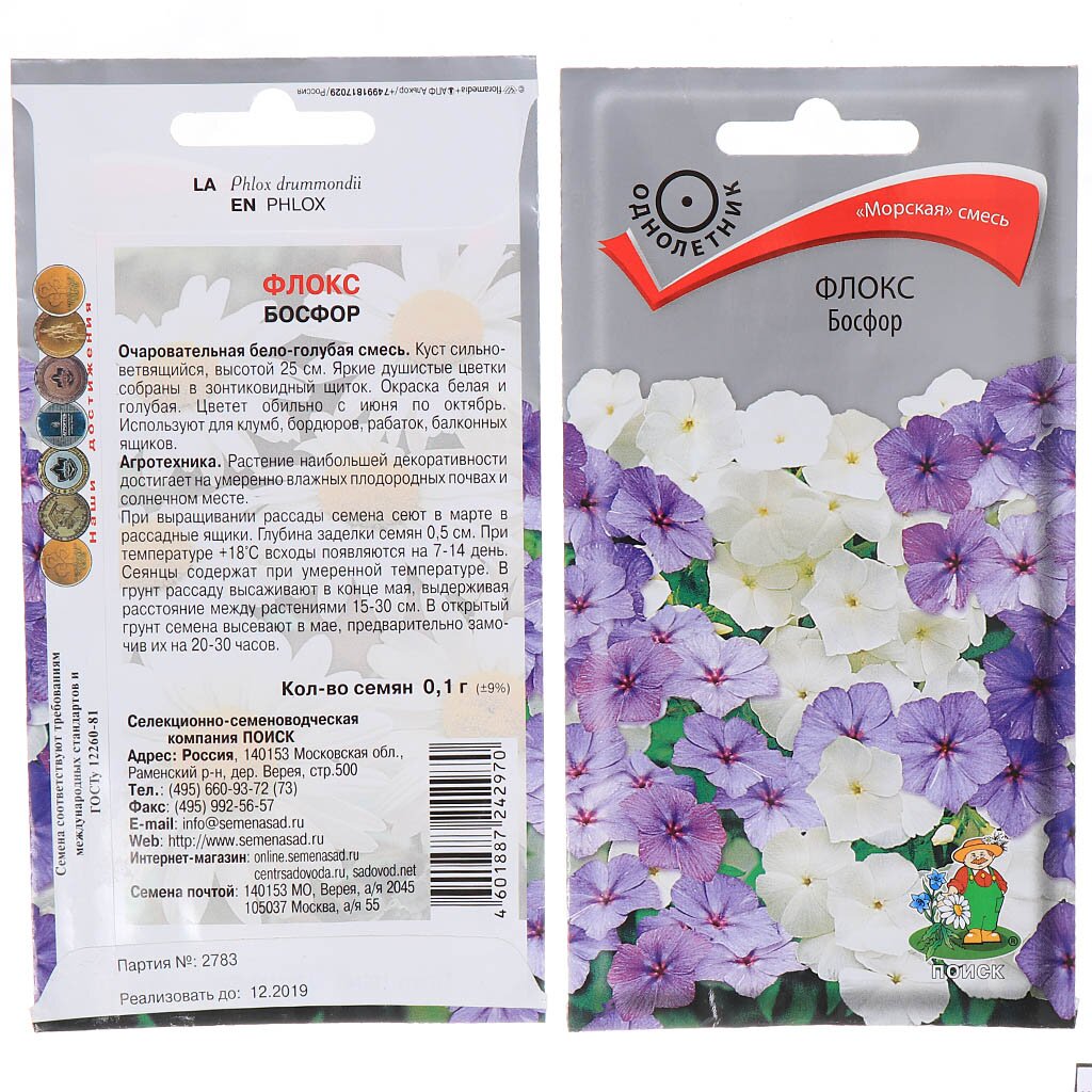 Семена Цветы, Флокс, Босфор, 0.1 г, цветная упаковка, Поиск
