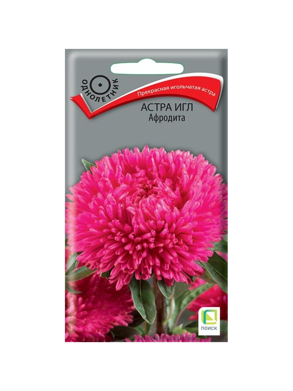 Семена Цветы, Астра, Афродита, 0.3 г, игольчатая, цветная упаковка, Поиск