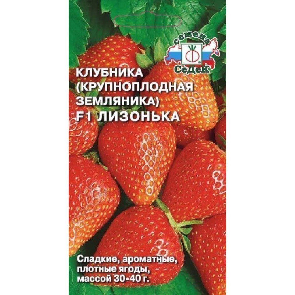 Семена Земляника, Лизонька, цветная упаковка, Седек
