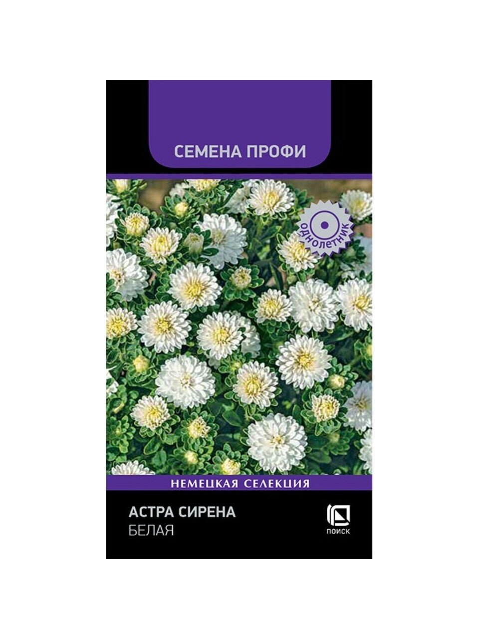 Семена Цветы, Астра, Сирена Белая, 0.05 г, цветная упаковка, Поиск