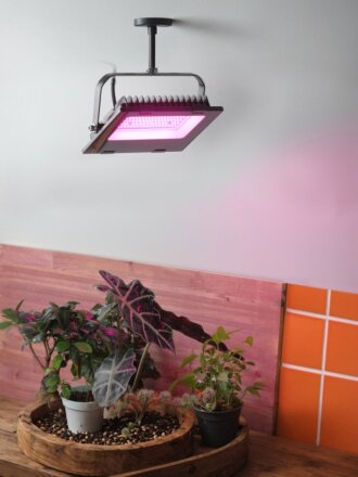 Светильник-прожектор светодиодный для растений, 50 Вт, 180-240 В, IP65, Эра, Фито FITO-50W-RB-LED, Б0046368