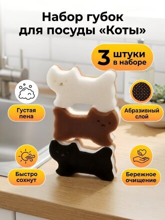 Коты