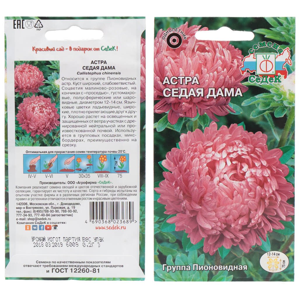 Семена Цветы, Астра, 0.2 г, цветная упаковка, Седек астра леди корал лавандовая 0 1 г