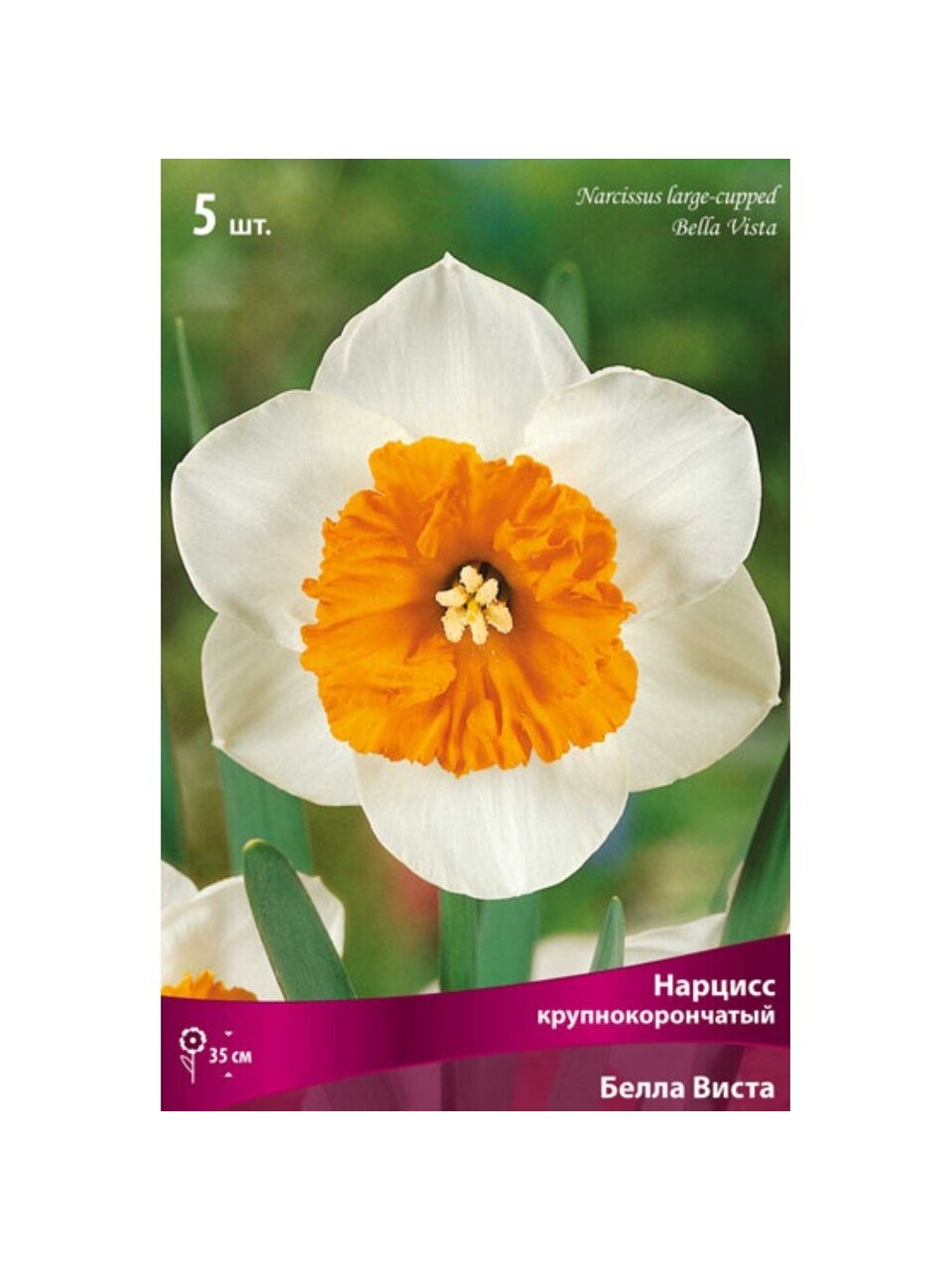 Луковицы Нарцисс крупнокорончатый, Белла Виста, 12-14/К, 5 шт