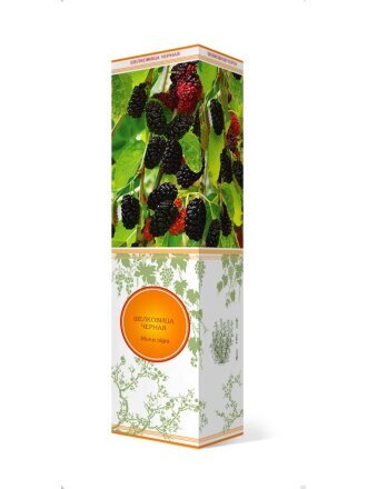 Саженцы Шелковица черная, лист зеленый, ягоды сине-черные, 753161