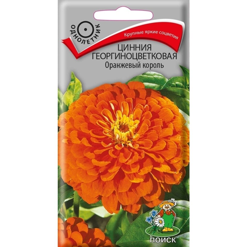 Семена Цветы, Цинния, Оранжевый король, 0.4 г, георгиноцветковая, цветная упаковка, Поиск карусельный король