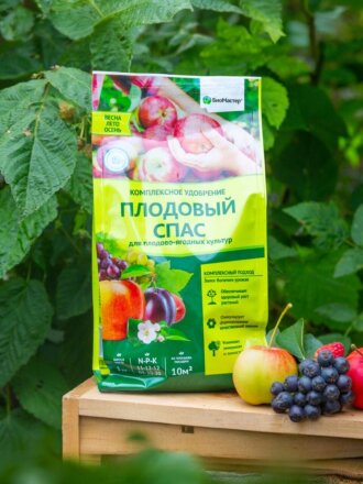 Плодовый спас