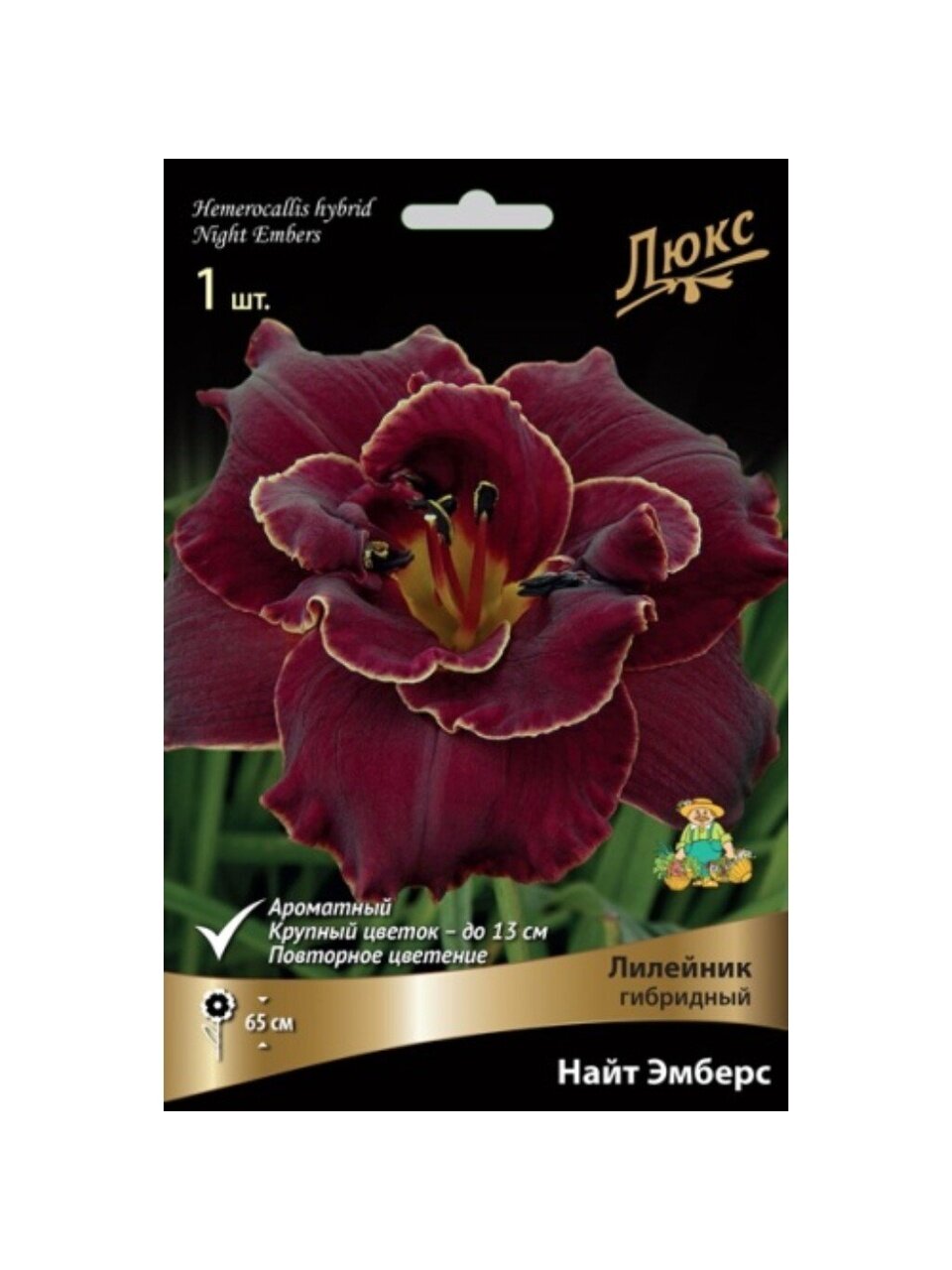 Корневище Лилейник гибридное, Найт Эмберс
