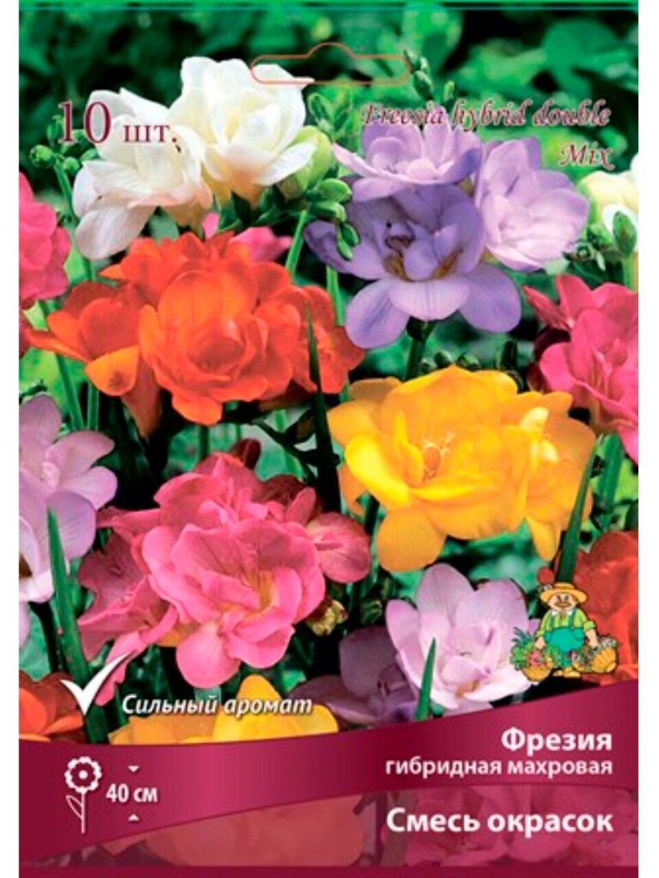 Луковицы Фрезия гибридная махровая, смесь окрасок, 10 шт