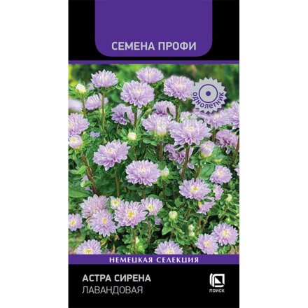 Сирена Лавандовая