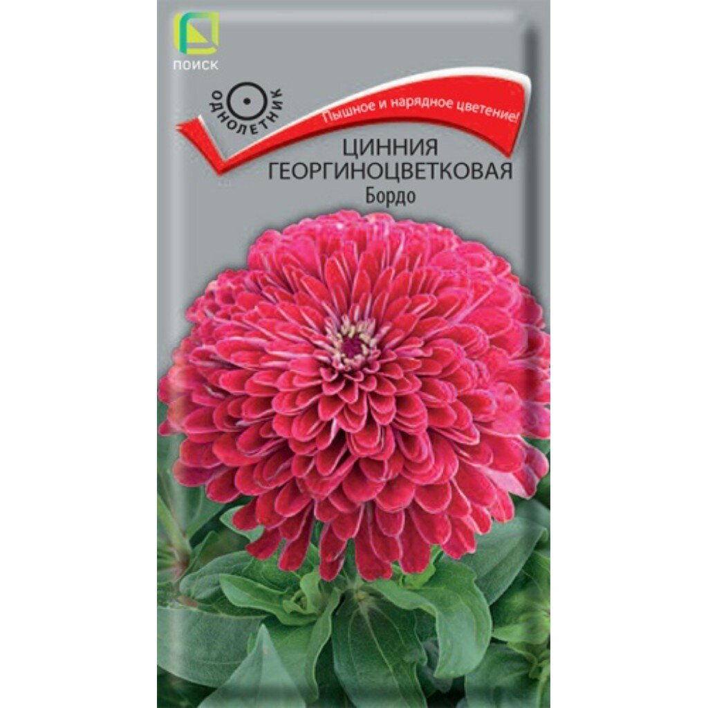 Семена Цинния георгиноцветковая Бордо (ЦВ) (&amp;quot;1) 0,4 гр. Поиск