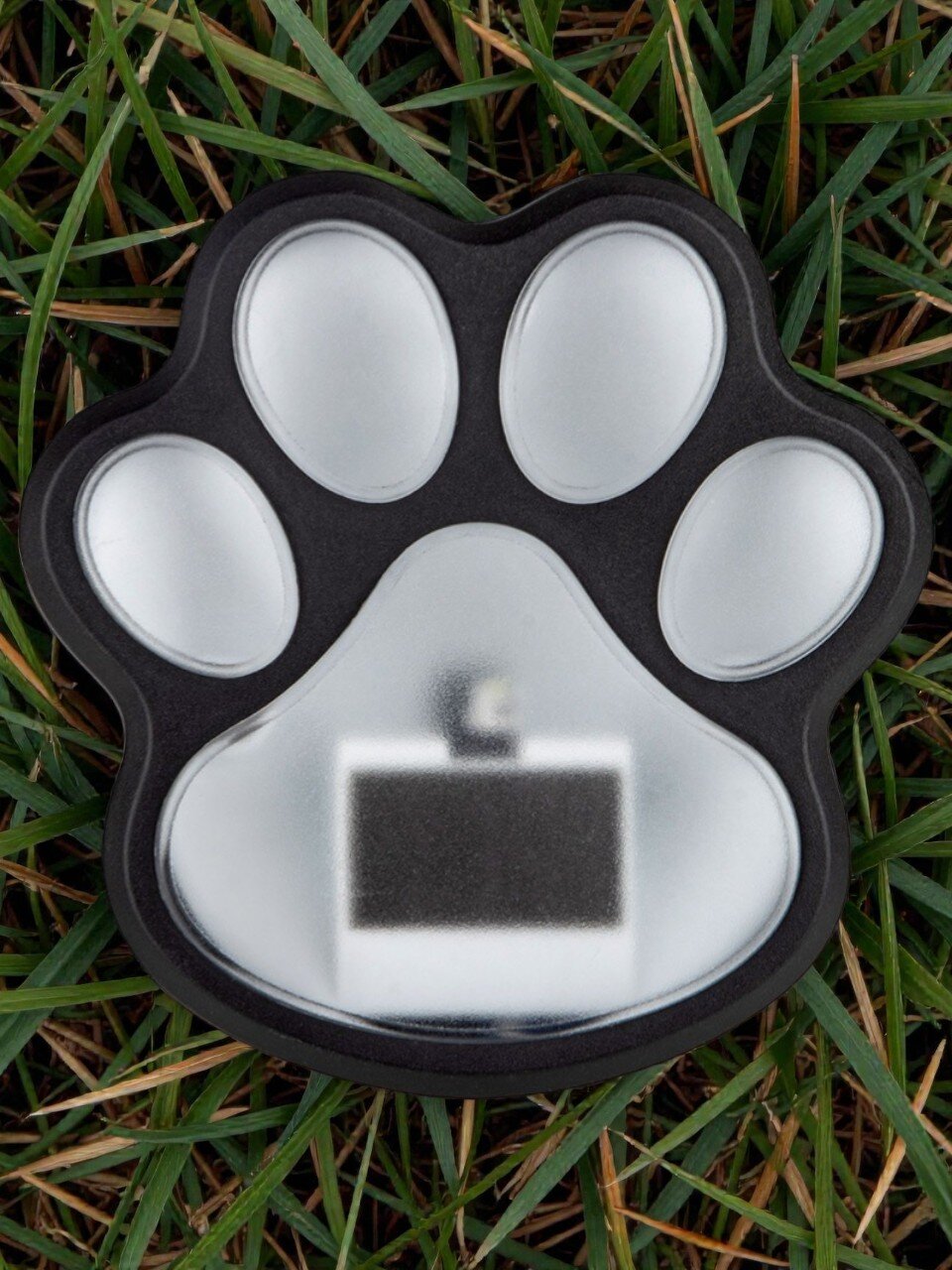 Фонарь садовый Park, Лапка, на солнечной батарее, грунтовый