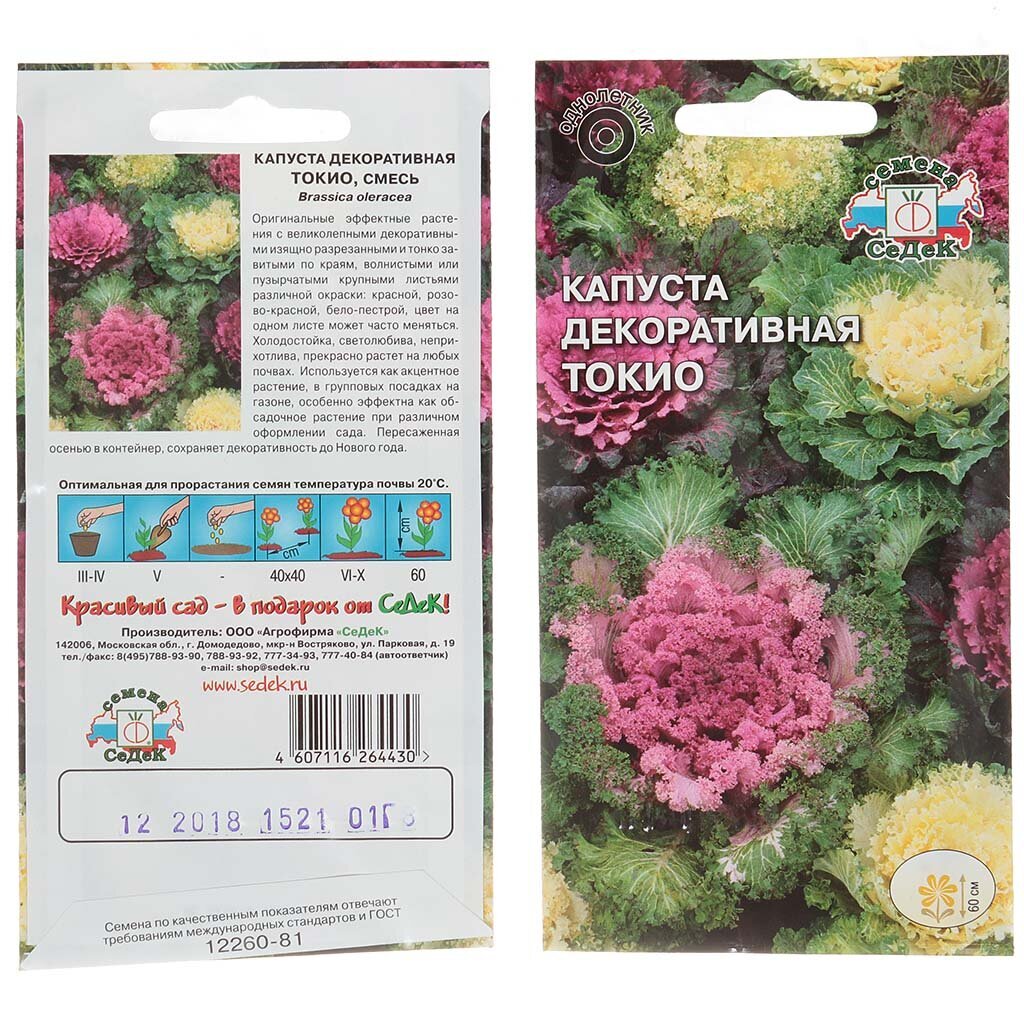 Семена Цв Капуста декоративная Токио ЦВ
