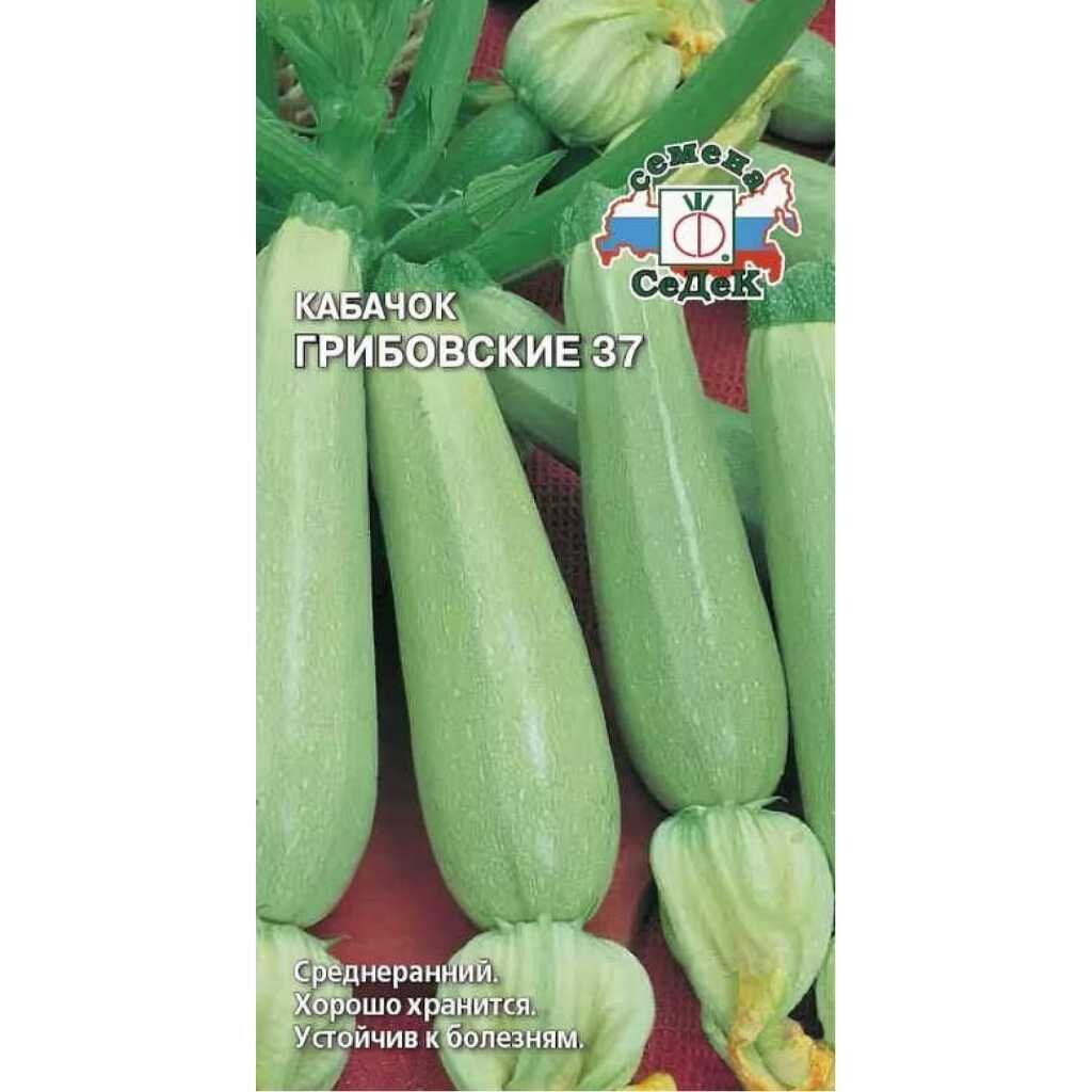 Семена Кабачок, Грибовские 37, 2 г, Даешь урожай, цветная упаковка, Седек