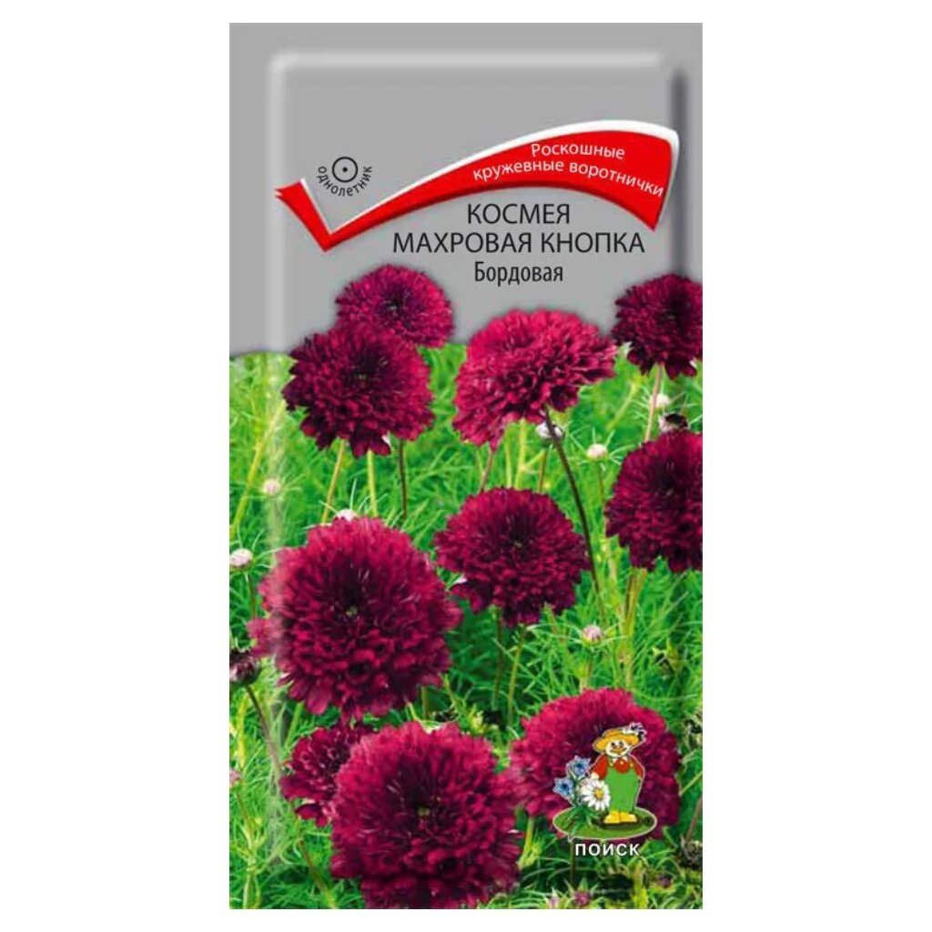 Семена Цветы, Космея, Махровая кнопка бордовая, 0.1 г, цветная упаковка, Поиск