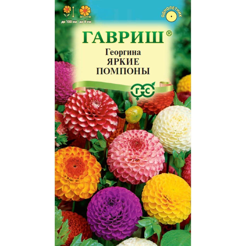 Семена Цветы, Георгина, Яркие помпоны, 0.2 г, Цветочная коллекция, цветная упаковка, Гавриш