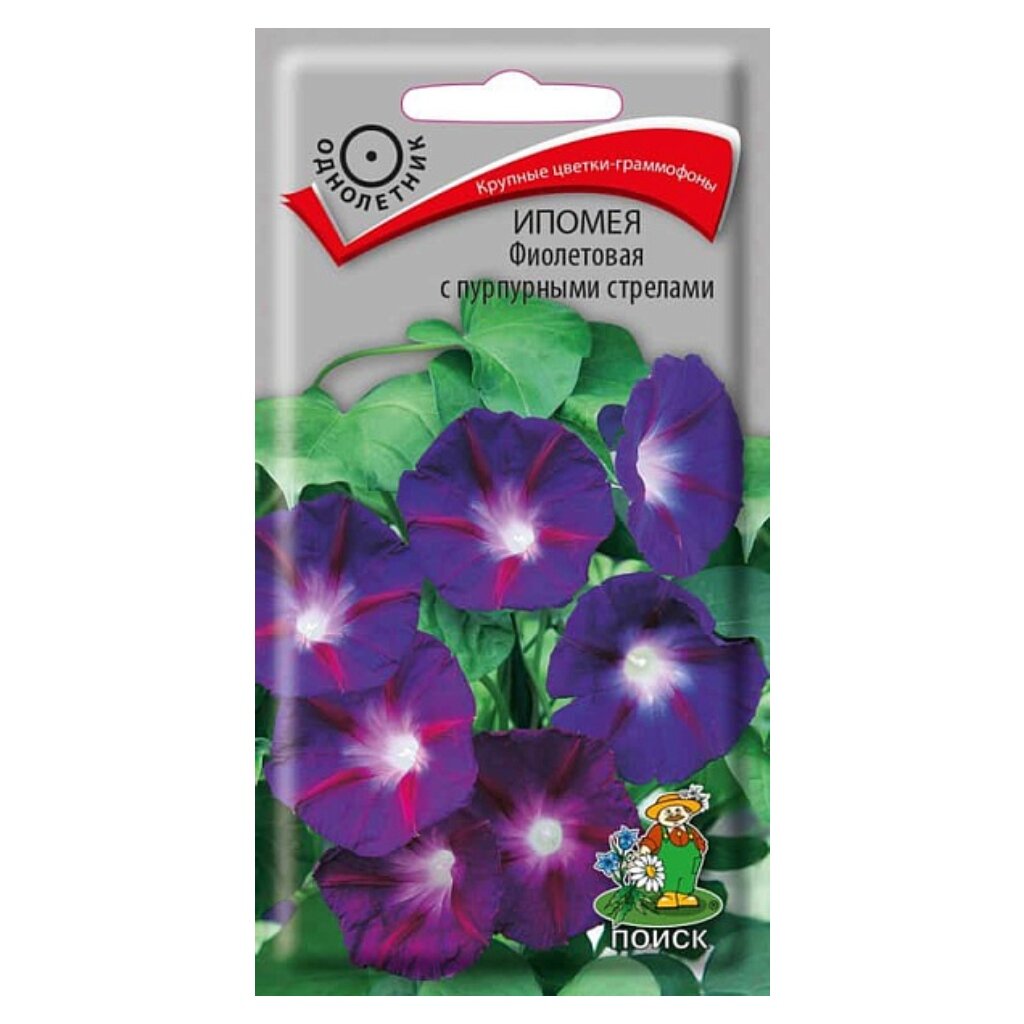 Семена Цветы, Ипомея, Фиолетовая с пурпур стрелами, 0.5 г, цветная упаковка, Поиск