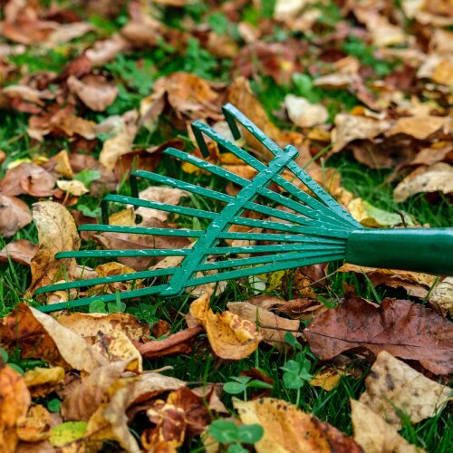 Осенний сад по акции