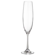 Бокал для шампанского, 250 мл, стекло, 6 шт, Bohemia, Barbara Milvus, 1SD22/250