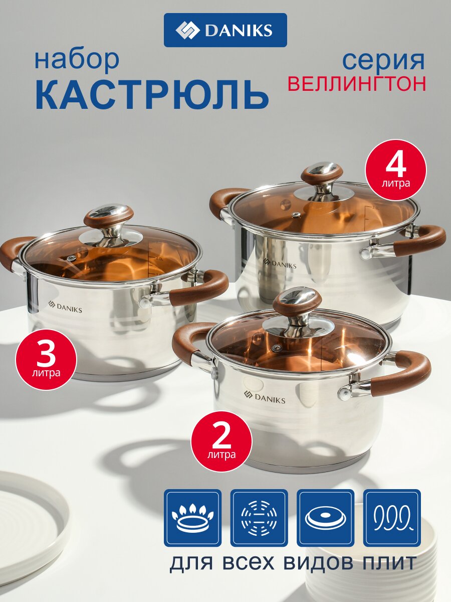 Набор посуды нержавеющая сталь, 6 предметов, кастрюли 2, 3, 4 л, индукция, Daniks, Веллингтон, GS-01415-6SE