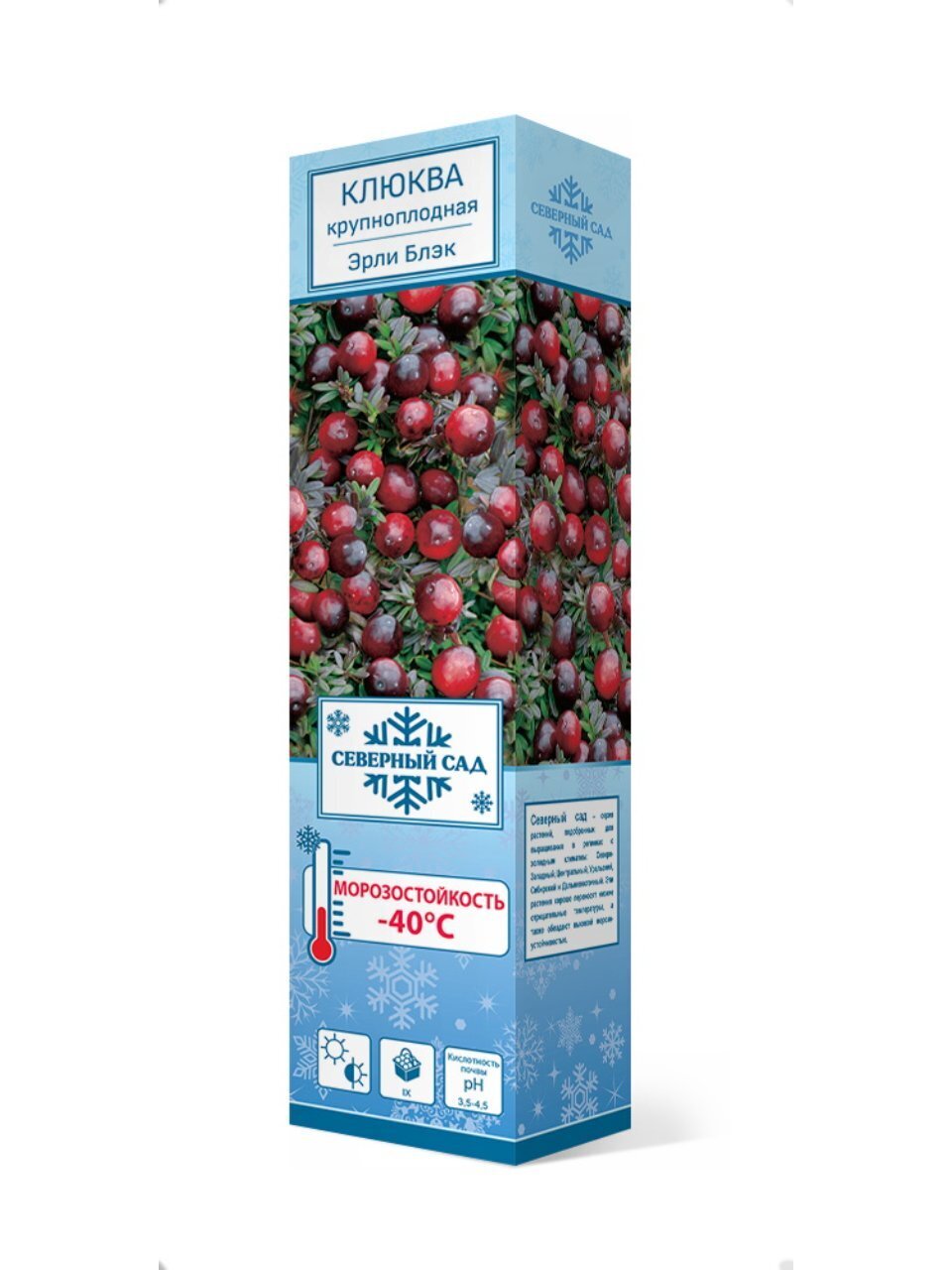 Саженцы Клюква крупноплодная, Эрли Блэк
