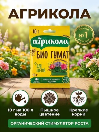 порошок