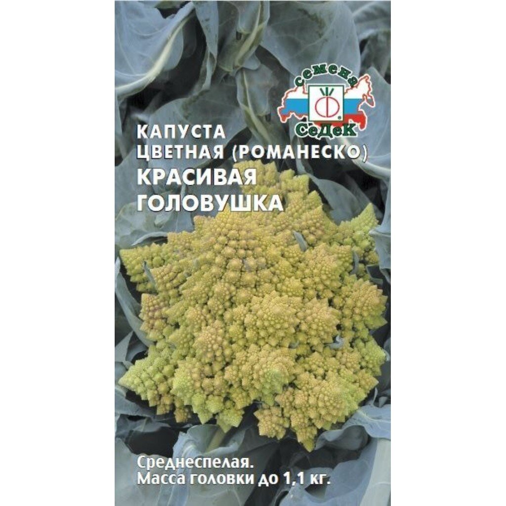 Семена Капуста цветная, Красивая головушка, 0.5 г, цветная упаковка, Седек