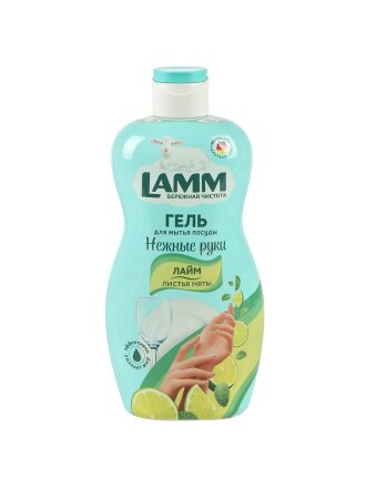 Лайм и листья мяты