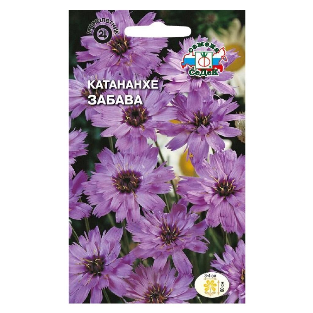 Семена Цветы, Катананхе, Забава, 0.1 г, сиреневая с темно-коричневым центром, цветная упаковка, Седек