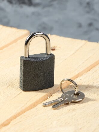 Замок навесной Bartex, 504658, блистер, цилиндровый, 25 мм, чугунный, 2 ключа
