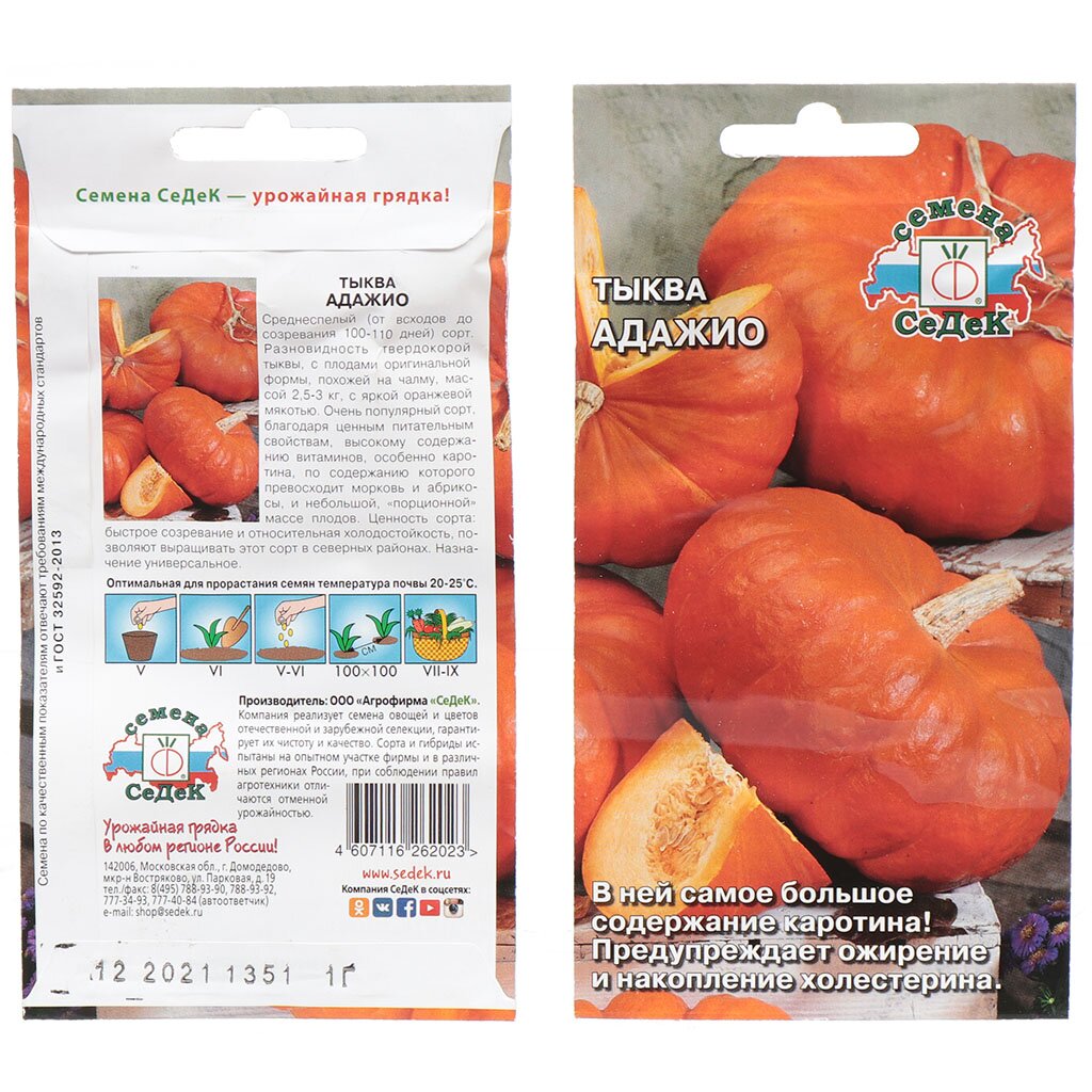 Семена Тыква, Адажио, цветная упаковка, Седек семена кабачок грибовские 37 ная упаковка седек