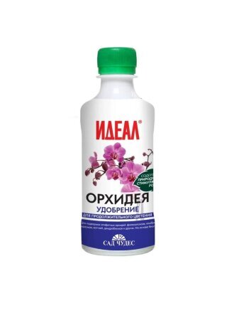 Орхидея