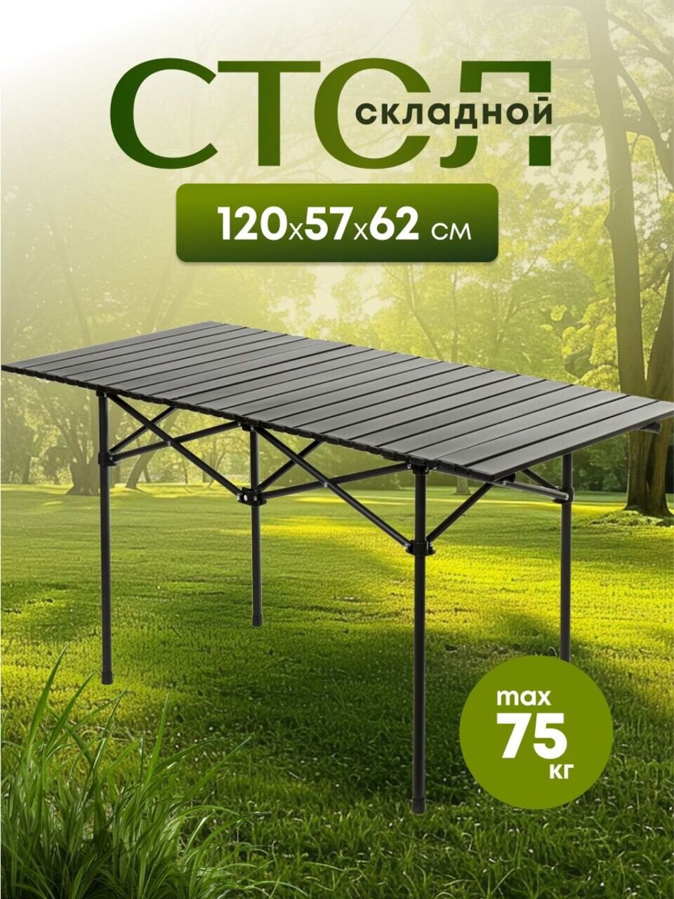 Стол складной металл, прямоугольный, 120х57х62 см, DS-T120