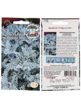 Семена Цветы, Цинерария, Кэндикенс, 0.1 г, листья пальчатораздельные, серебристые, цветная упаковка, Седек